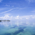 Tropical Horizon Mural Wallpaper - pure wallpaper artwork