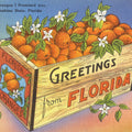 Greetings From Florida's Finest Oranges Mural Wallpaper - pure wallpaper artwork