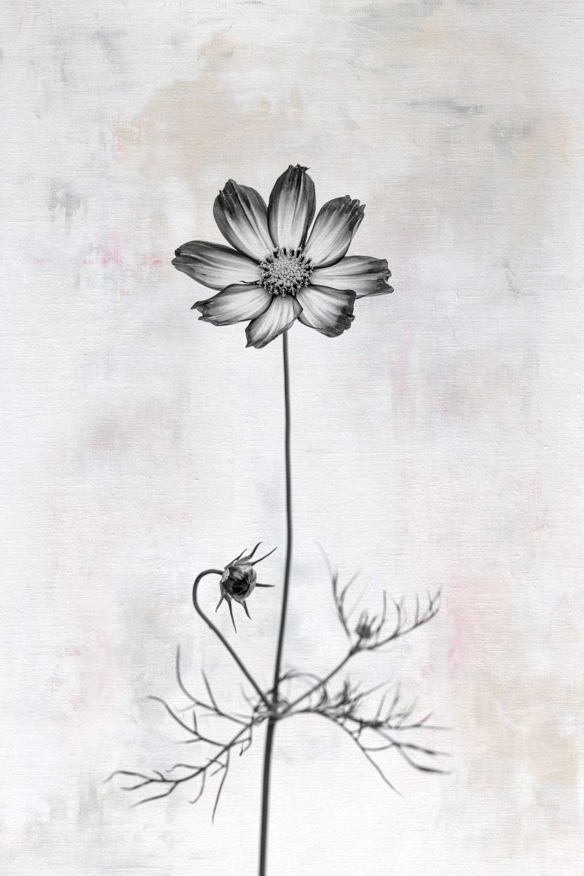 Wonderful Wildflowers XVI Neutral Mural Wallpaper - pure wallpaper artwork