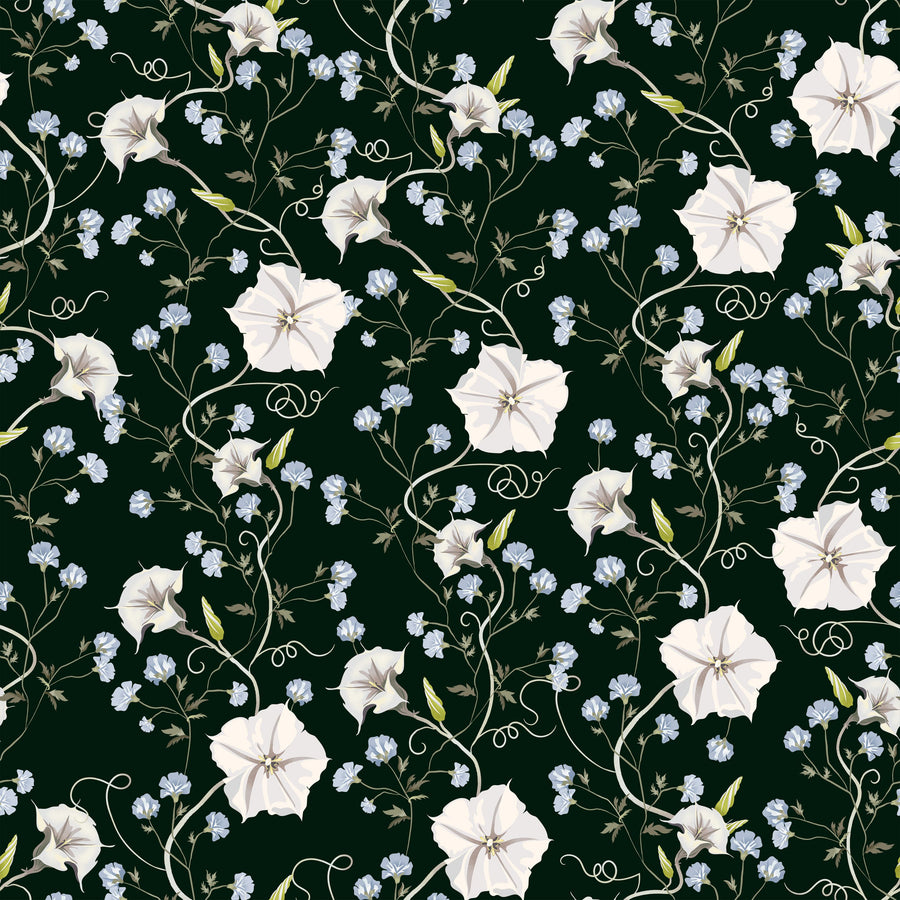 Trailing Morning Glory, Dark Green Mural Wallpaper