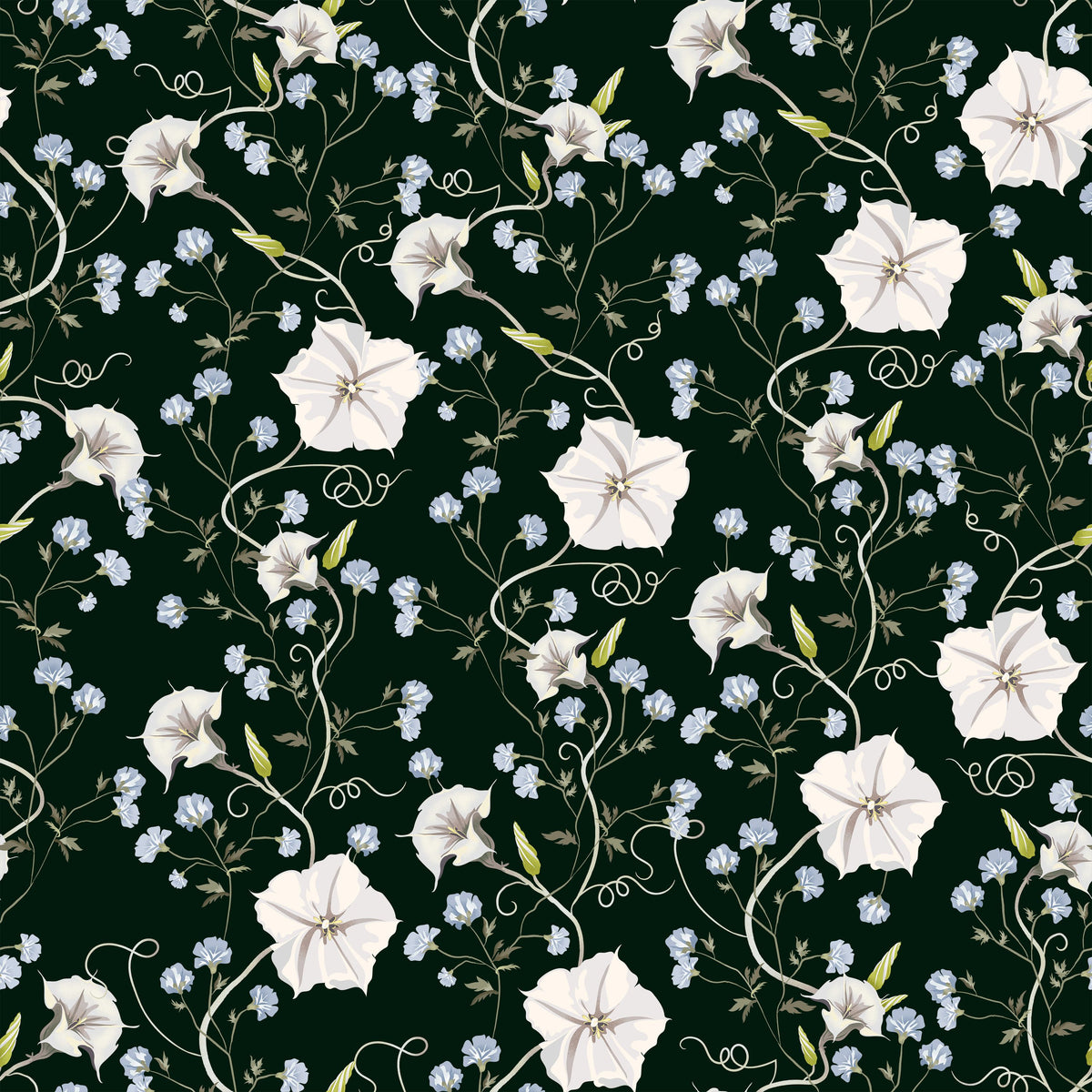 Trailing Morning Glory, Dark Green Mural Wallpaper - pure wallpaper artwork