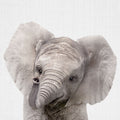 Peekaboo Baby Elephant Mural Wallpaper - pure wallpaper artwork