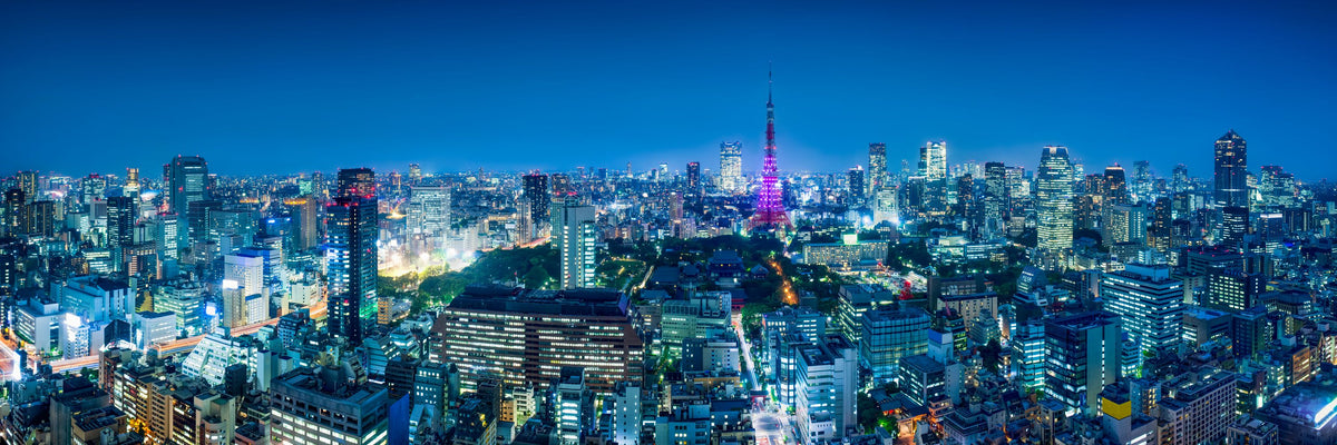 Tokyo Skyline Night Mural Wallpaper - pure wallpaper artwork