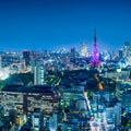 Tokyo Skyline Night Mural Wallpaper - pure wallpaper artwork