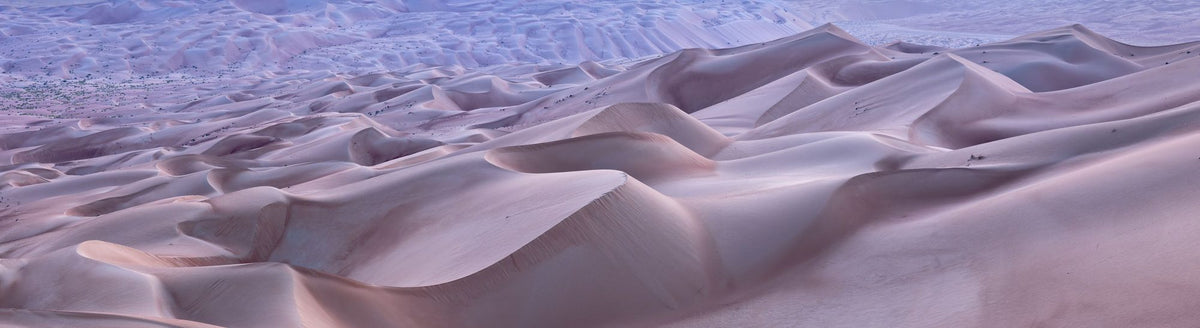 Dunes Dusk Mural Wallpaper - pure wallpaper artwork