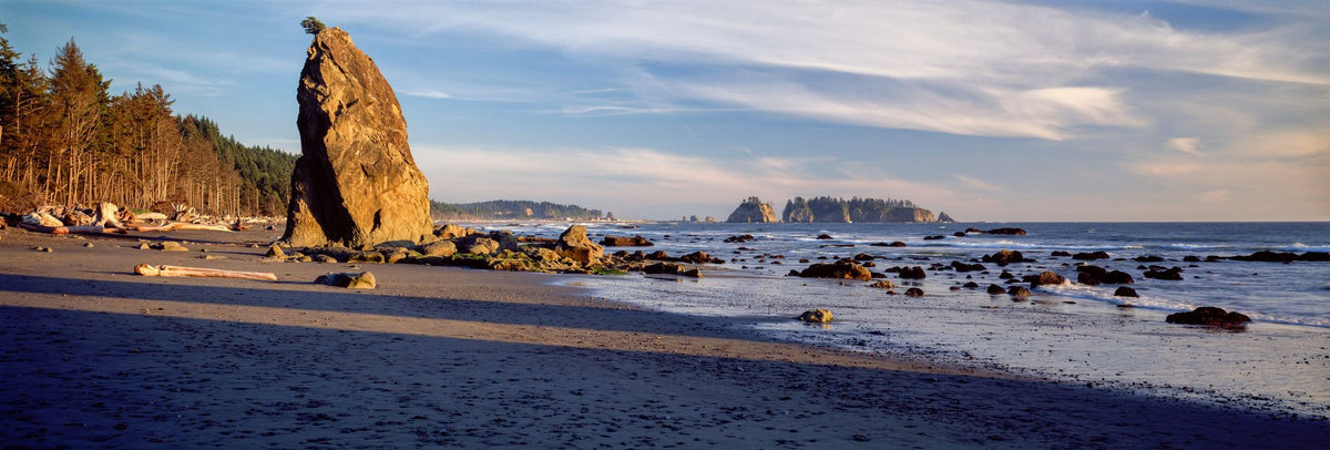 Rialto Beach At Sunset Mural Wallpaper - pure wallpaper artwork