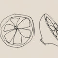 Line Lemons Mural Wallpaper - pure wallpaper artwork