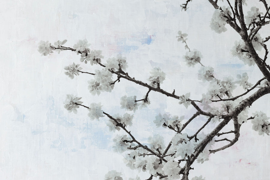 Swiss Blossom Mural Wallpaper