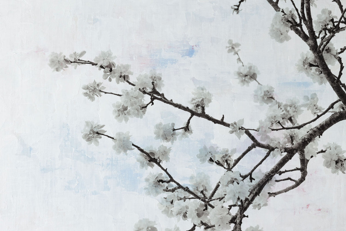 Swiss Blossom Mural Wallpaper - pure wallpaper artwork