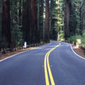 Redwood Journey Mural Wallpaper - pure wallpaper artwork