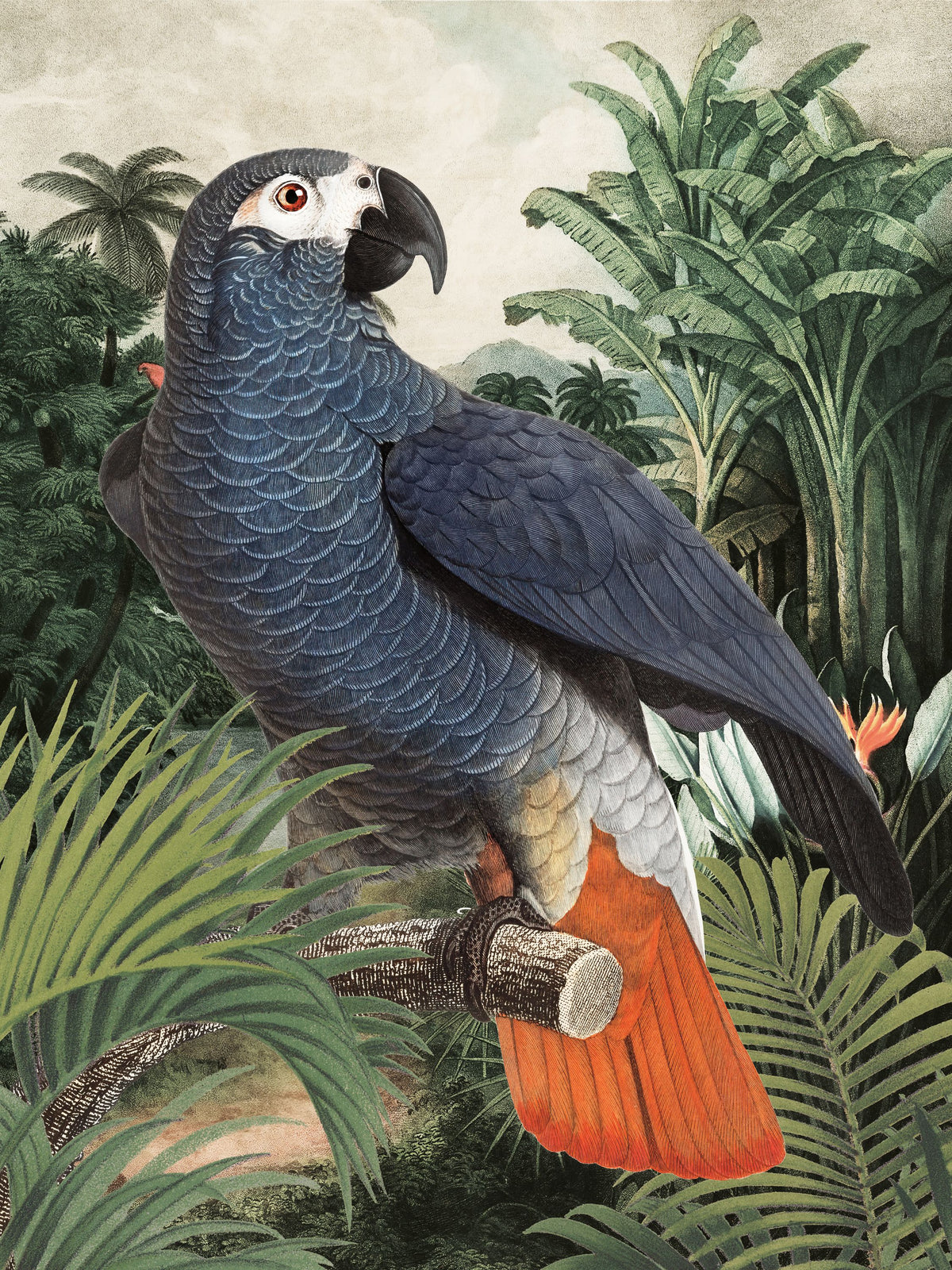 Jungle Parrot I Mural Wallpaper - pure wallpaper artwork