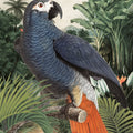 Jungle Parrot I Mural Wallpaper - pure wallpaper artwork