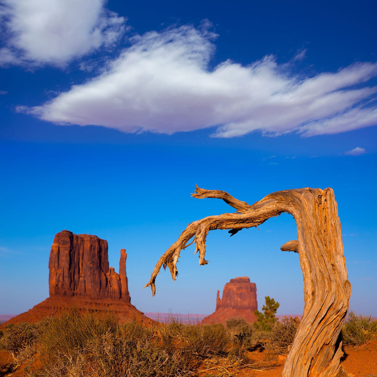 Monument Valley Branch Mural Wallpaper - pure wallpaper artwork