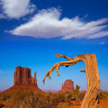 Monument Valley Branch Mural Wallpaper - pure wallpaper artwork