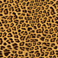 Leopard Mural Wallpaper - pure wallpaper artwork
