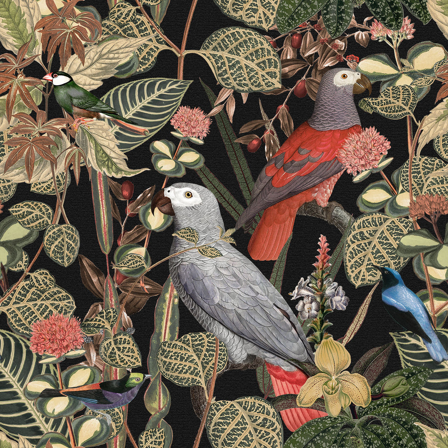 Jungle Bird Mural Wallpaper