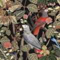 Jungle Bird Mural Wallpaper - pure wallpaper artwork