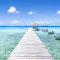 Wooden Pier Mural Wallpaper - Blue Tone - pure wallpaper artwork