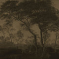 Woodland Brook, Dusk Mural Wallpaper - pure wallpaper artwork