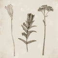 Wildflower Journal Vintage X Mural Wallpaper - pure wallpaper artwork