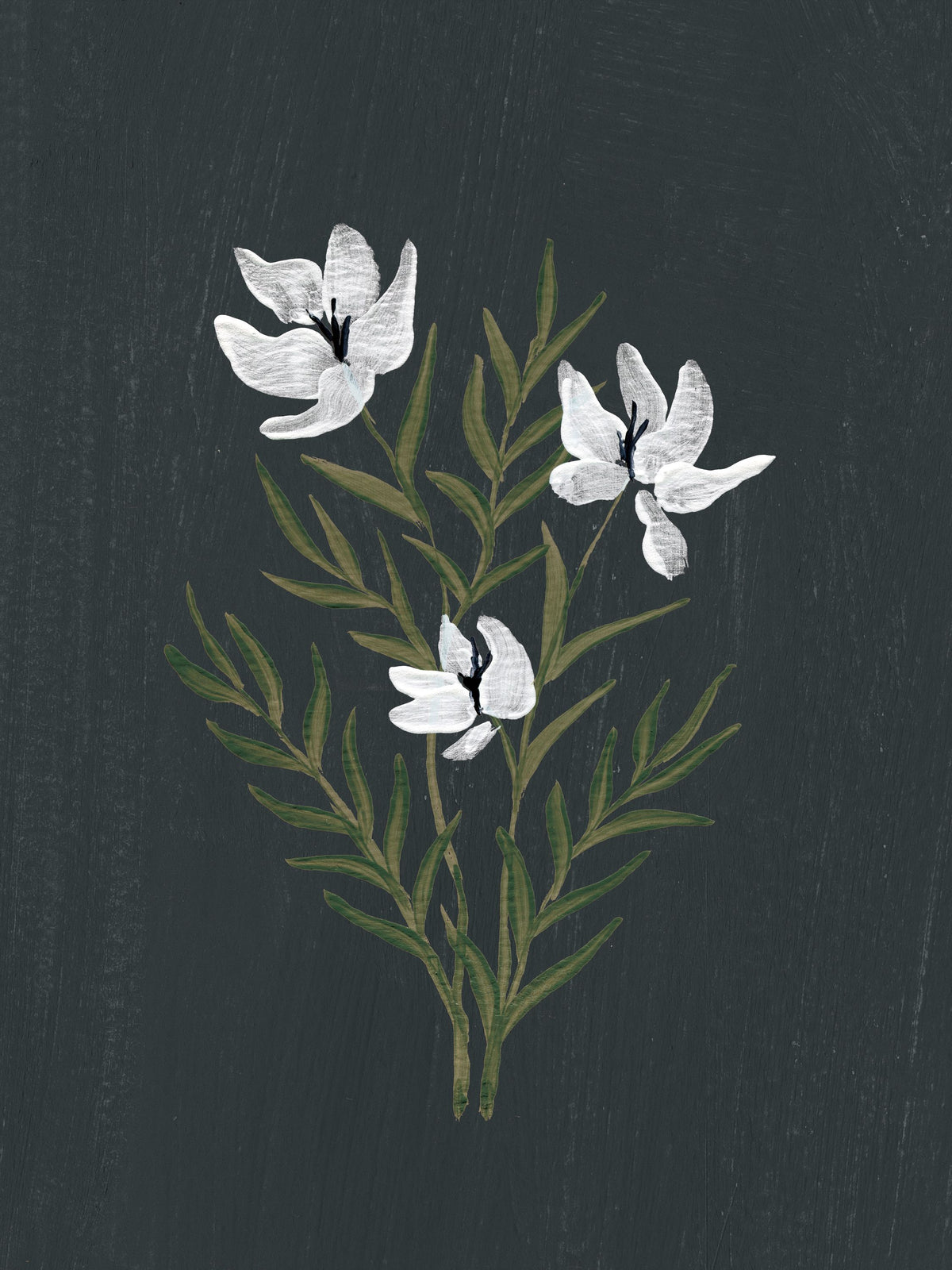 Pretty Little Flower IV Black Mural Wallpaper - pure wallpaper artwork