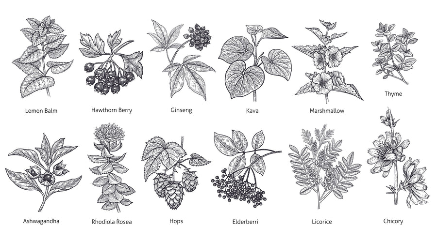 Map of Berries Mural Wallpaper