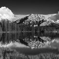 Cascade Mountain Reflection BW Mural Wallpaper - pure wallpaper artwork