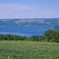 Vineyard Lakeside Serenity Mural Wallpaper - pure wallpaper artwork