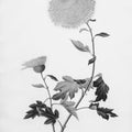 Botanical IV Mural Wallpaper - pure wallpaper artwork