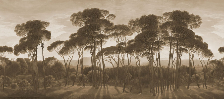 Landscape Wallpaper Mural – Scenery Wall Mural – Mediterranean Pine Landscape, Sepia printable artwork