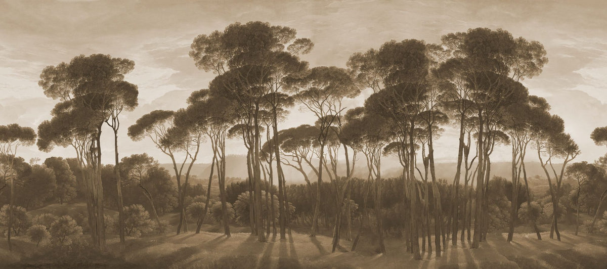 Mediterranean Pine Landscape, Sepia Mural Wallpaper - pure wallpaper artwork