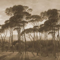 Mediterranean Pine Landscape, Sepia Mural Wallpaper - pure wallpaper artwork