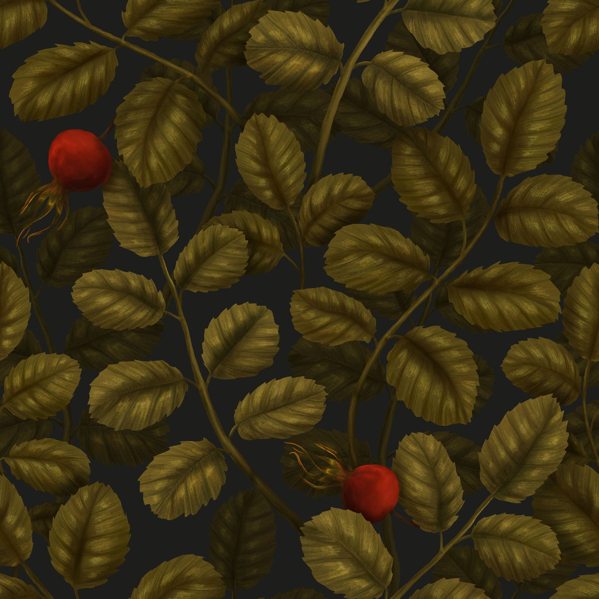Rose Hips Mural Wallpaper - pure wallpaper artwork