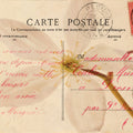 Letters to My Love II Mural Wallpaper - pure wallpaper artwork