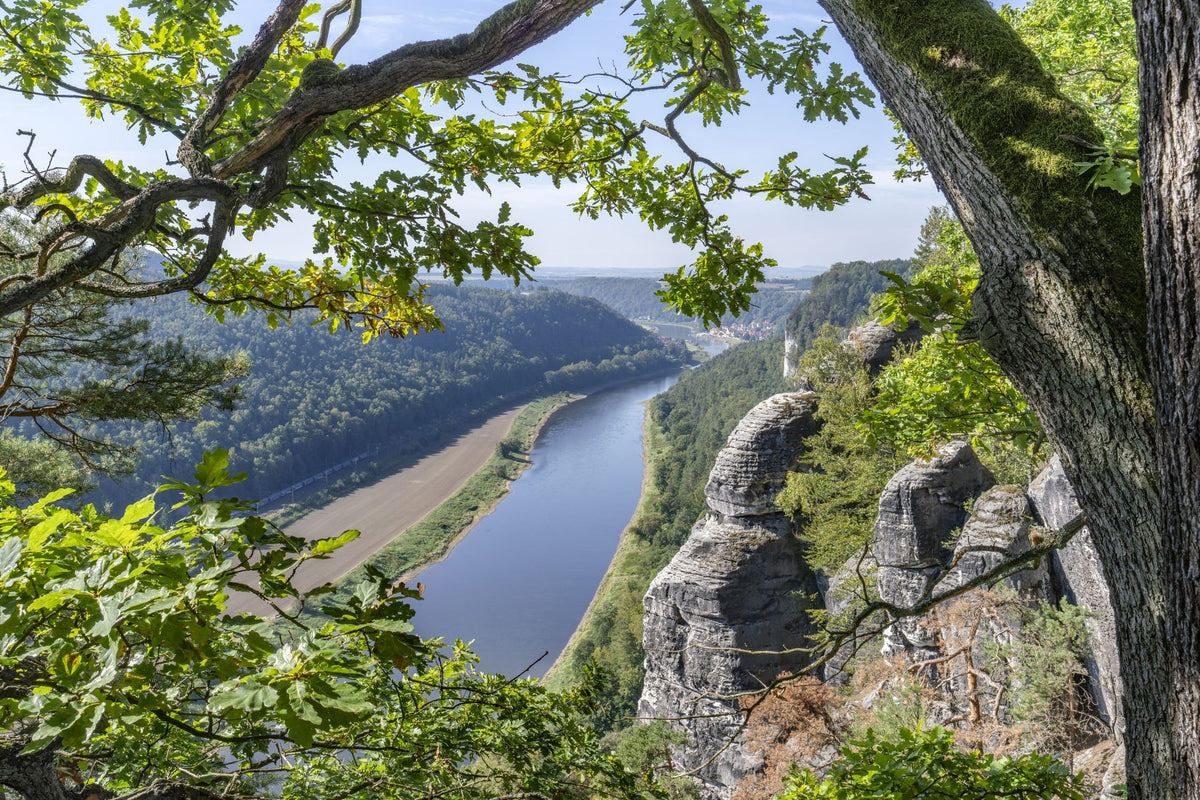 Elbe RIver Mural Wallpaper - pure wallpaper artwork