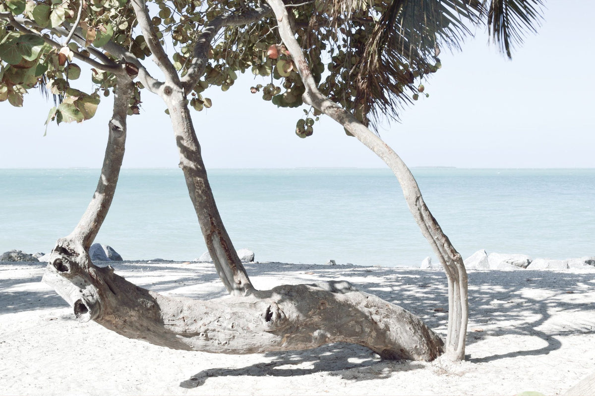 Fort Zachary Beach II Mural Wallpaper - pure wallpaper artwork