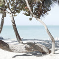 Fort Zachary Beach II Mural Wallpaper - pure wallpaper artwork