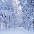 Snow-Laden Forest Mural Wallpaper - pure wallpaper artwork