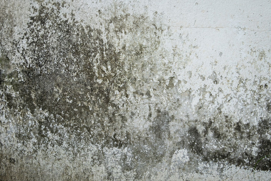 Aged Plaster Mural Wallpaper