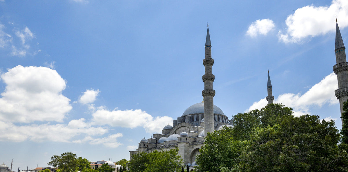 Majestic Mosque Mural Wallpaper - pure wallpaper artwork