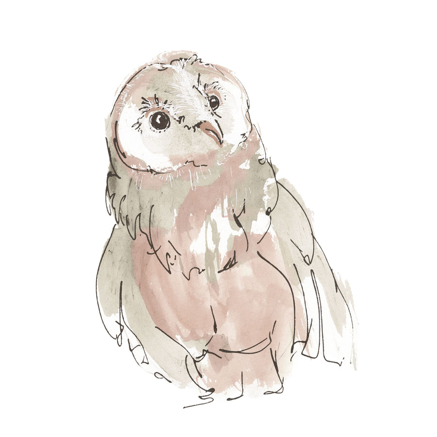 Barn Owl V Honeybloom Mural Wallpaper