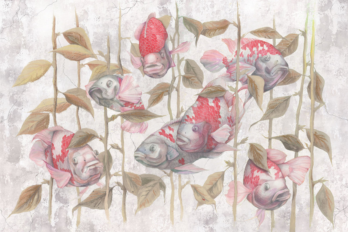 Fish Meeting Mural Wallpaper - pure wallpaper artwork