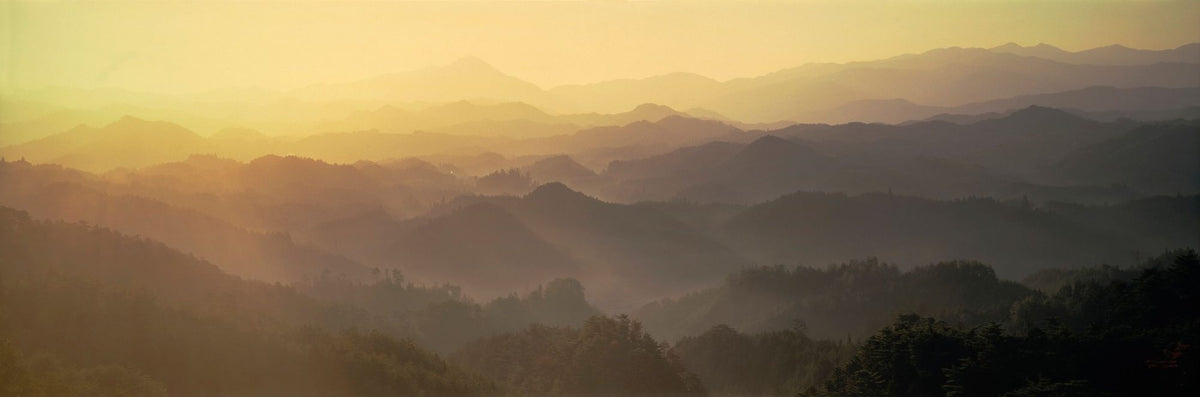 Sea of Clouds Mural Wallpaper - pure wallpaper artwork