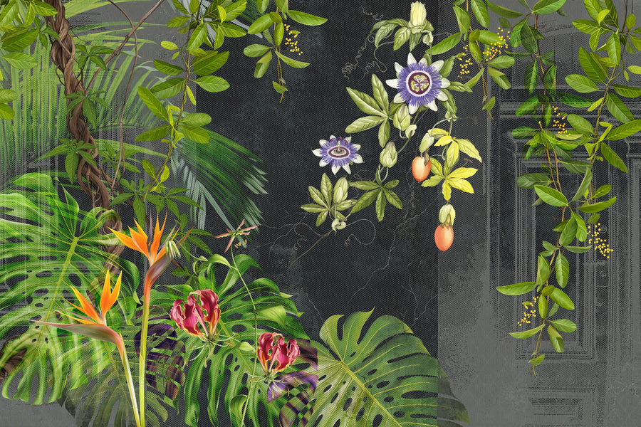 Dragons Fruit At Home Mural Wallpaper