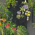 Dragons Fruit At Home Mural Wallpaper - pure wallpaper artwork