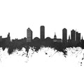 Tallahassee Florida Skyline Black & White Mural Wallpaper - pure wallpaper artwork