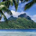 Island Paradise Palms Mural Wallpaper - pure wallpaper artwork