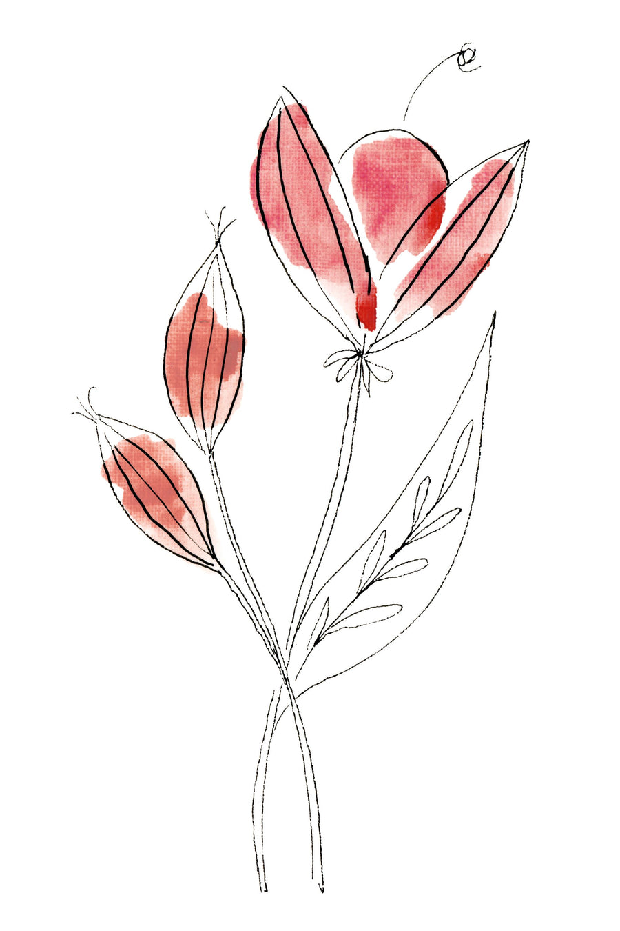 Line Flower I Mural Wallpaper