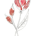 Line Flower I Mural Wallpaper - pure wallpaper artwork