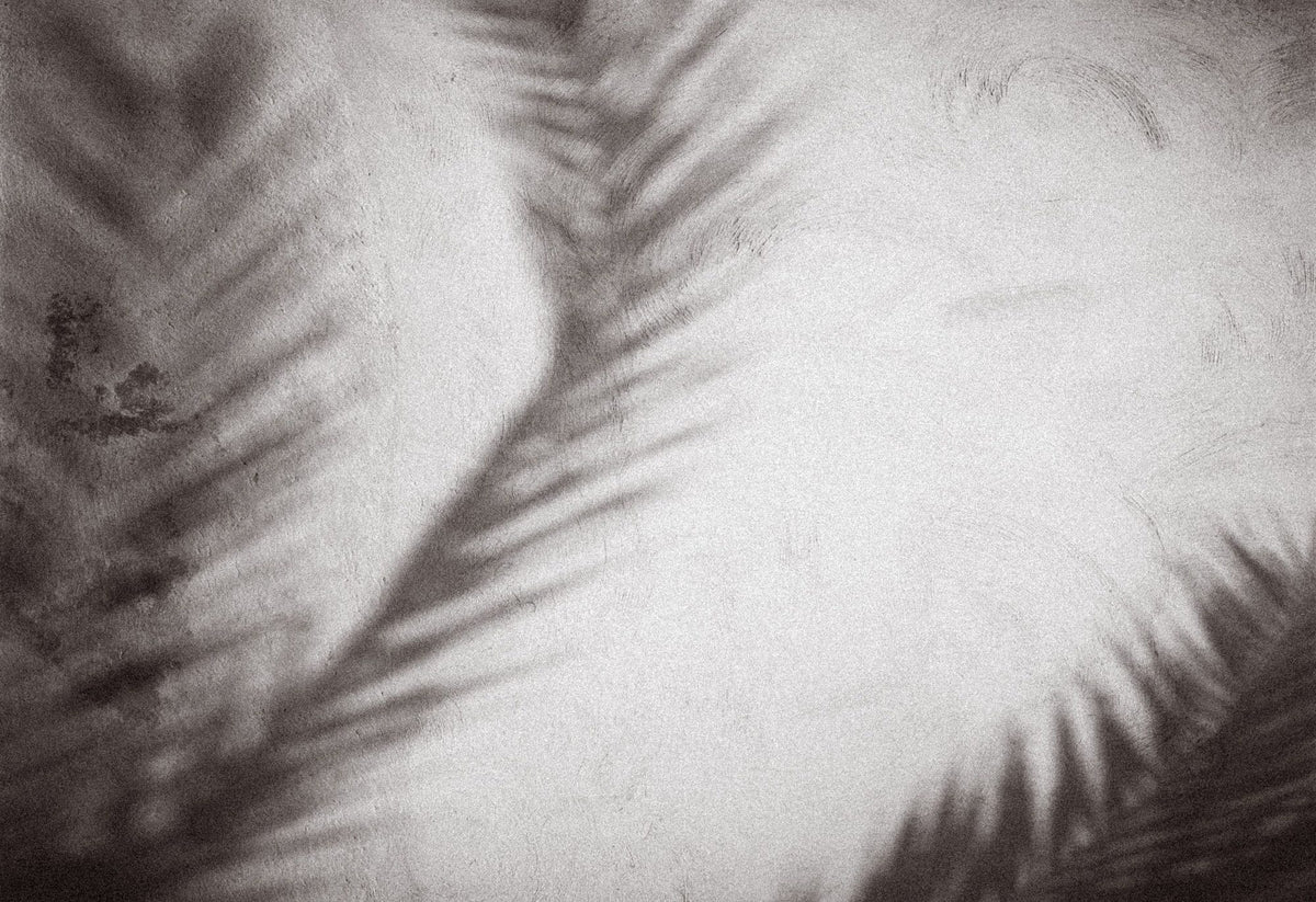 Palm Shadow Afternoon I Mural Wallpaper - pure wallpaper artwork